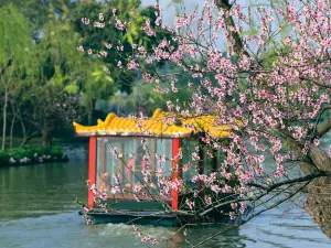 Slender West Lake Cruise