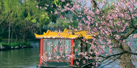 瘦西湖遊船南門碼頭-二十四橋碼頭豪華畫舫票散拼票優待(小童/長者)