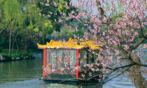 瘦西湖遊船南門碼頭-二十四橋碼頭豪華畫舫票散拼票成人