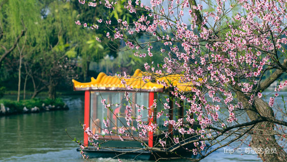 Sightseeing Boats in Yangzhou