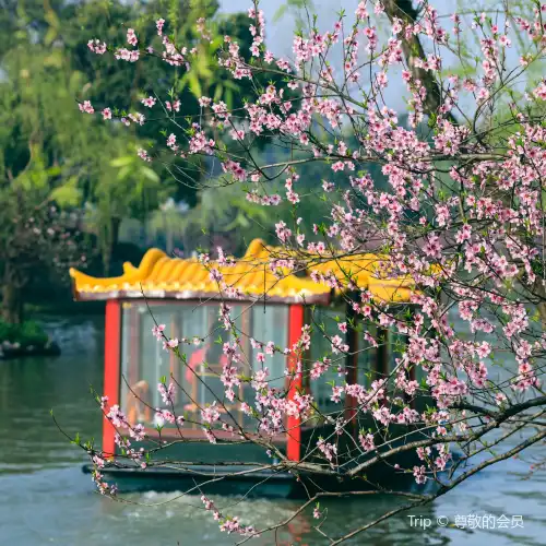 瘦西湖遊船