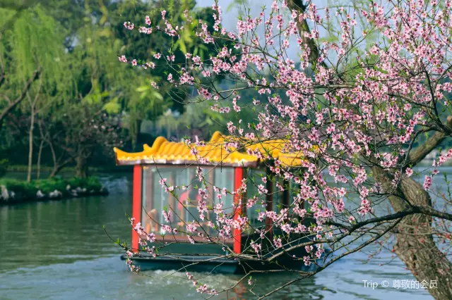 Sightseeing Boats in Yangzhou