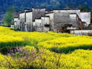 Wuyuan Scenic Area