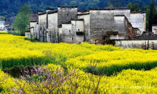 Wuyuan Scenic Area