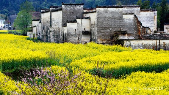 Wuyuan Scenic Area