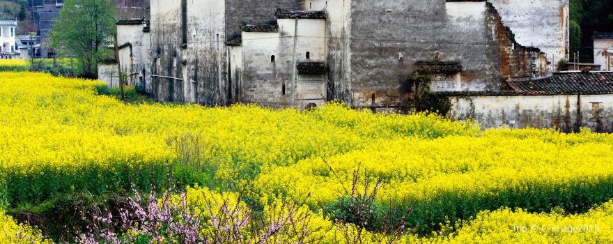 Wuyuan Scenic Area