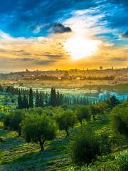 Mt of Olives