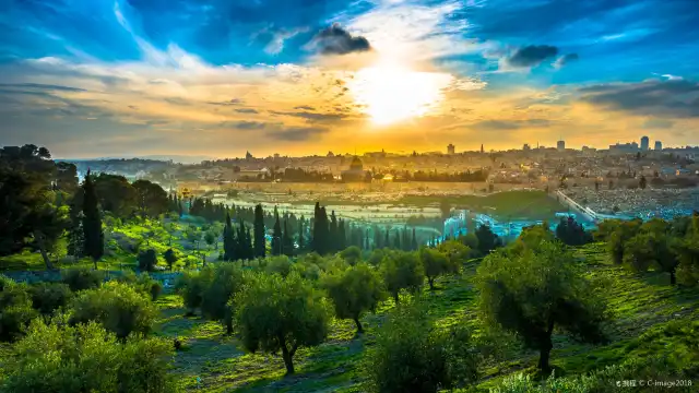 Hotels near Mt of Olives