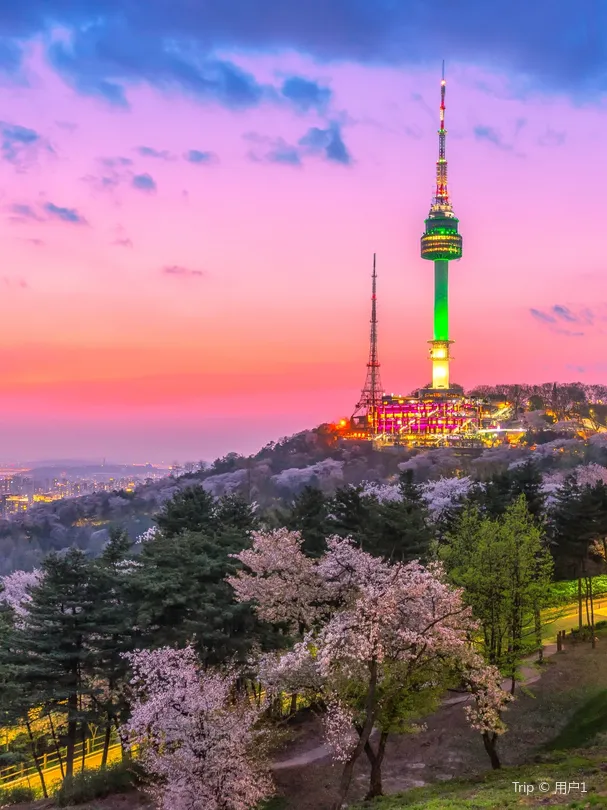 3_Namsan Mountain Park