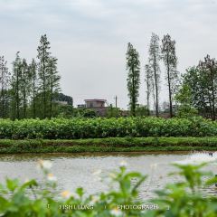 Baizhangyuan (leiliu) User Photo