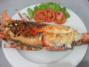 The Barracuda Restaurant