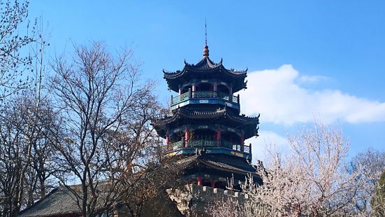 午飯過後，前往厝石山公園，來厝石山公園的目的只有一個，那就是