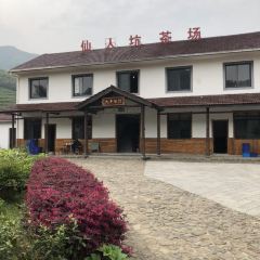 大茶餐厅 User Photo