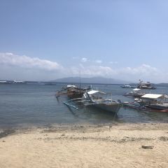 Hemingway's Bistrot張用戶圖片