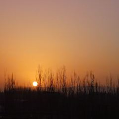 敦煌山庄咖啡厅 User Photo