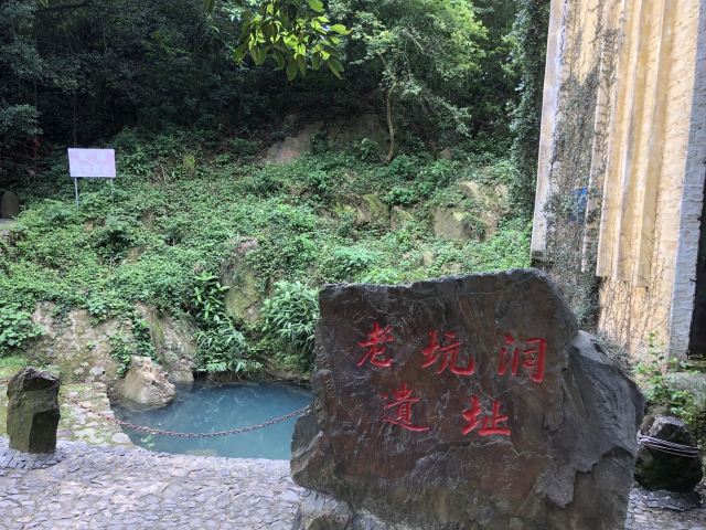Ziyungu