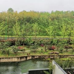 安雲·悅南山度假酒店中餐廳張用戶圖片