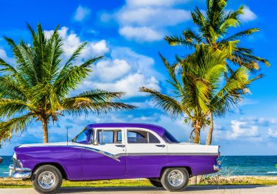 Havana