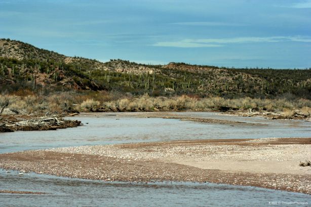 San Pedro River