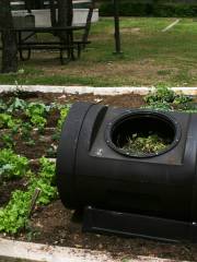 Festival Beach Community Garden