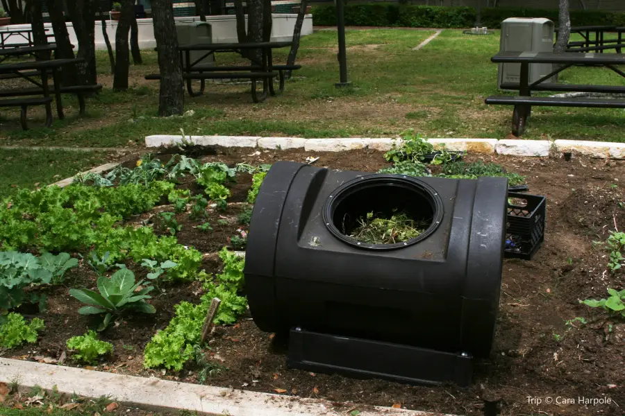 Festival Beach Community Garden