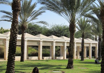 Ben Gurion University of the Negev