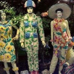 Cabbages & Condoms User Photo