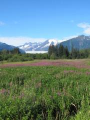 Mendenhall Wetlands State Game Refuge