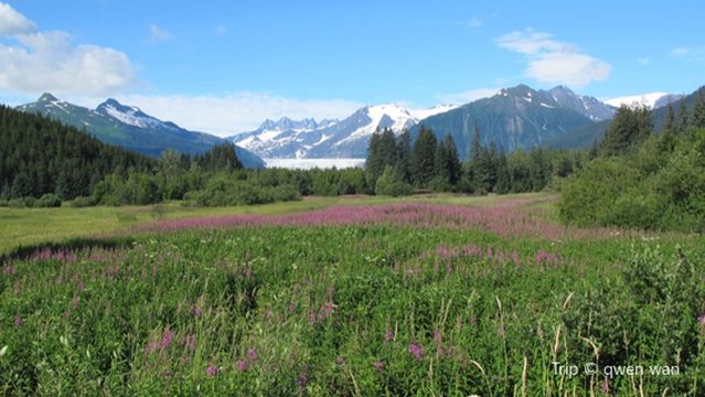 Mendenhall Wetlands State Game Refuge