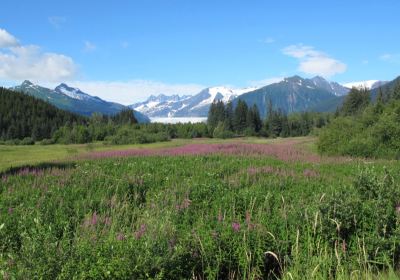 Mendenhall Wetlands State Game Refuge