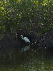 Seabranch Preserve State Park