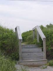 67 Steps Beach & Permit Parking