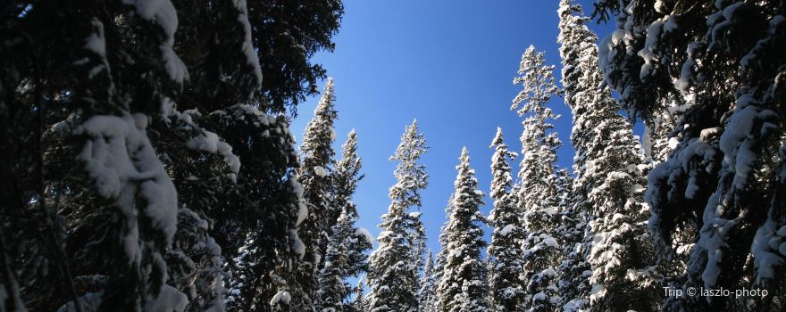 Pine Lake Park
