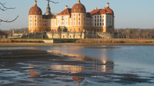 Moritzburg Castle