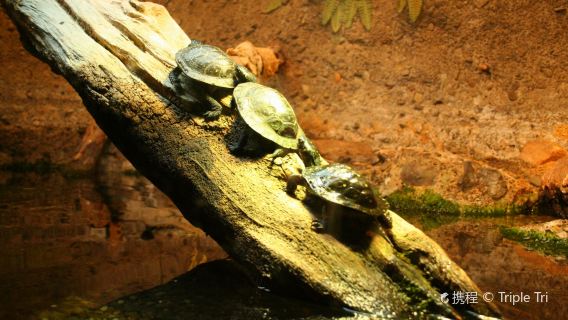 Aquarium of Niagara