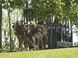 Kentucky Horse Park