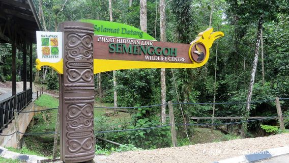 KuchingTagestouren