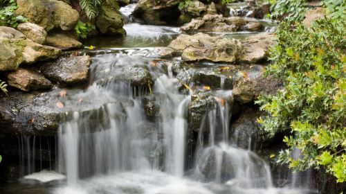 Fort Worth Water Gardens