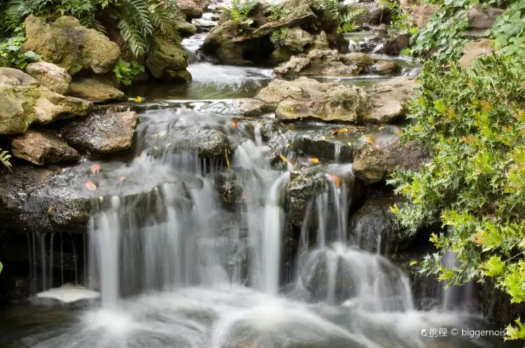 Hotels near Fort Worth Water Gardens