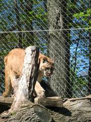 Seneca Park Zoo