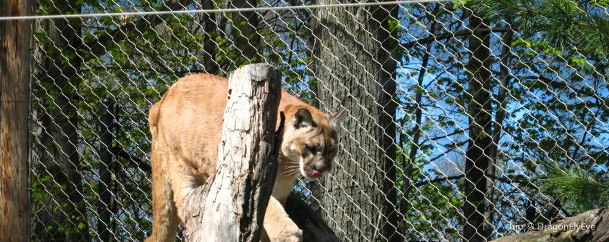 Seneca Park Zoo