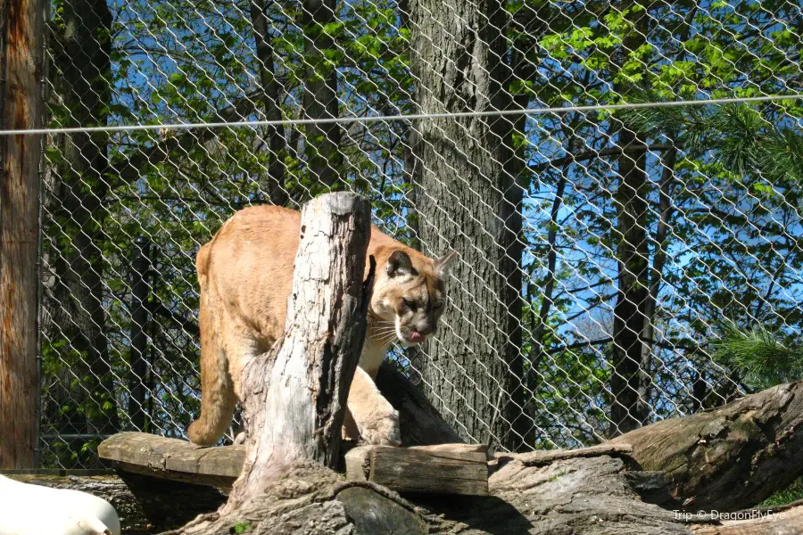 Seneca Park Zoo