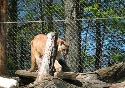 Seneca Park Zoo