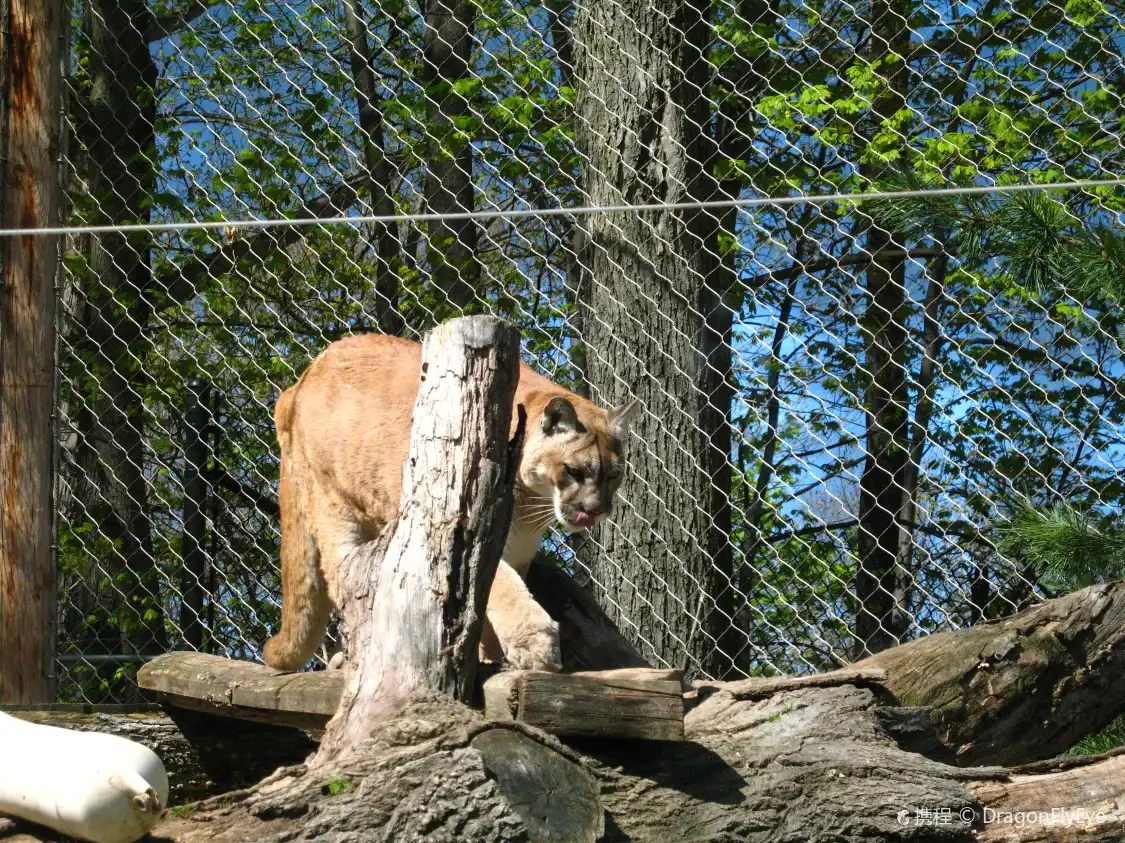 Hotels near Seneca Park Zoo