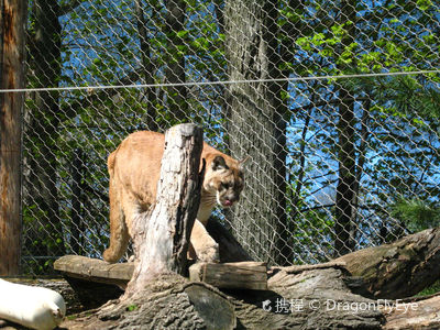 Seneca Park Zoo