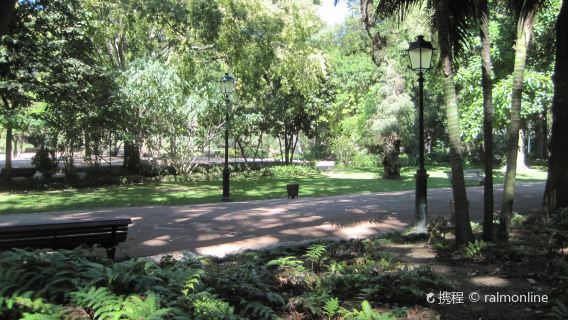 에스트렐라 성당+카스카이스+신트라+리스본 당일 치기 여행 [전세 차량 전용]