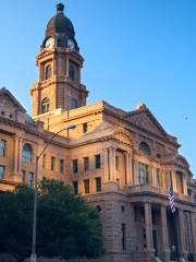 Tarrant County Court