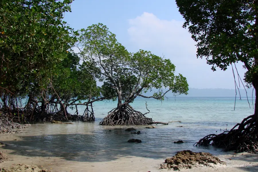 Chidiya Tapu Beach