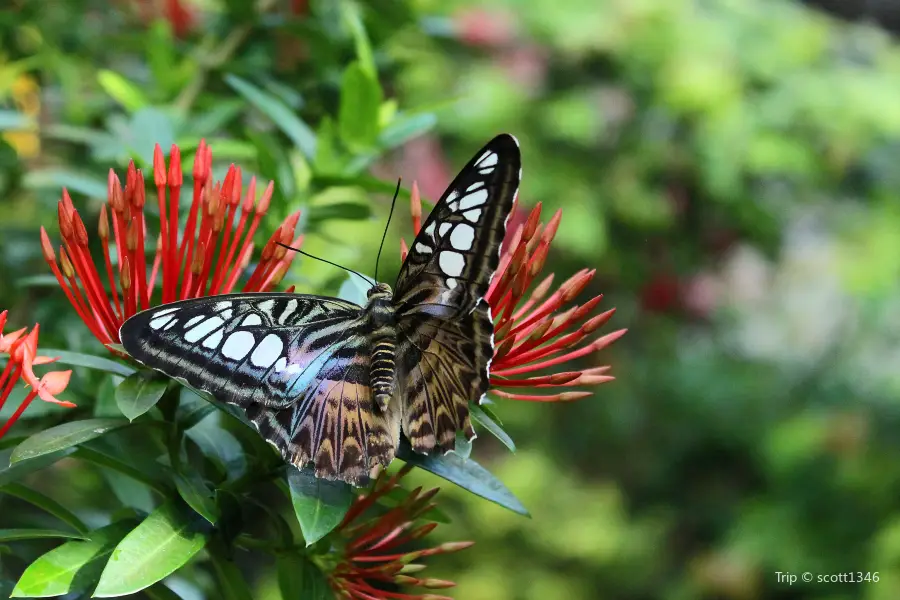 Key West Tropical Forest & Botanical Garden