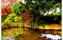 Filoli Historic House & Garden